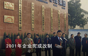 2001年-企業(yè)完成改制