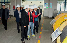 2015年11月22日，郎溪縣黨政代表團(tuán)一行來上上電纜參觀考察