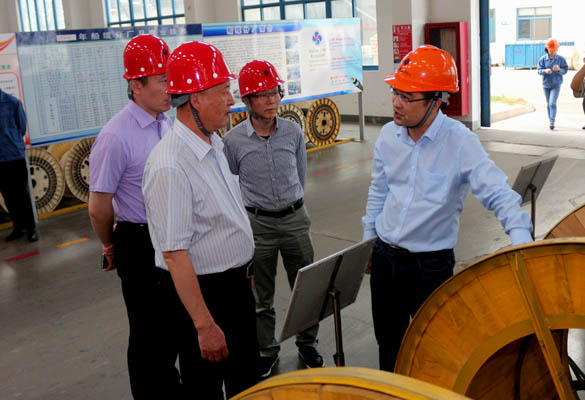 2016年5月14日，寧夏回族自治區(qū)人民政府研究室副主任蘇昀一行來(lái)上上電纜調(diào)研