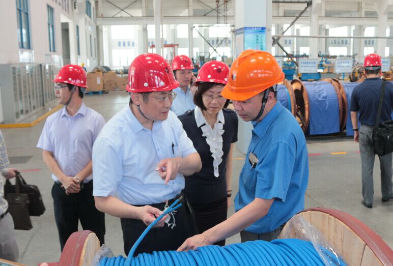 2016年7月22日，瀘州市委常委、副市長(zhǎng)王建翔一行來(lái)上上電纜參觀考察