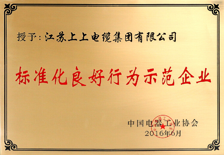 標(biāo)準(zhǔn)先行促發(fā)展，上上電纜再獲殊榮