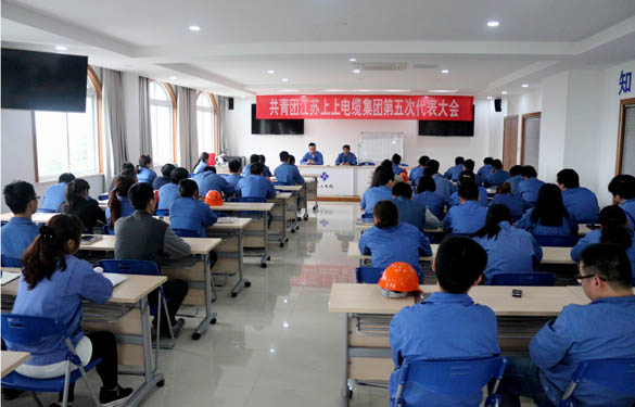 2016年4月20日，共青團(tuán)江蘇上上電纜集團(tuán)第五次代表大會(huì)召開