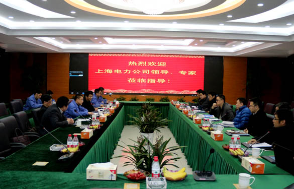 上海電力公司、上纜所領(lǐng)導(dǎo)、專家一行來上上電纜交流考察