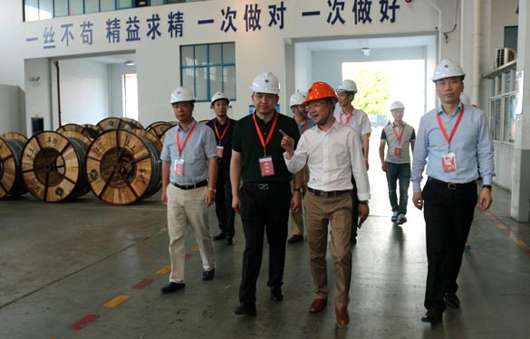 靖江市、溧陽市青商會齊聚上上電纜參觀交流