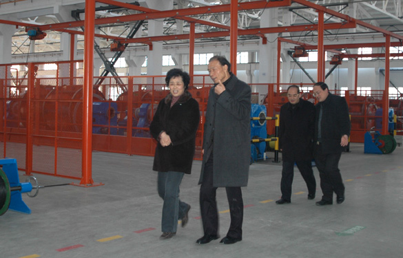 江蘇省經(jīng)信委副主任顧瑜芳一行來(lái)江蘇上上電纜集團(tuán)調(diào)研