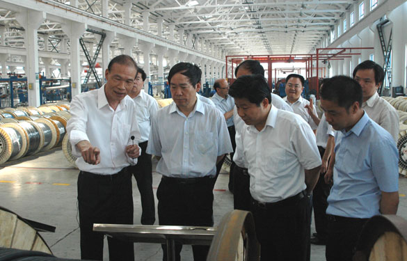 江蘇省省長(zhǎng)助理、省科技廳廳長(zhǎng)徐南平來上上集團(tuán)調(diào)研