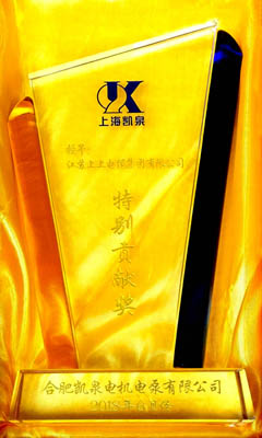 用品質(zhì)說話 ——上上電纜再獲供應(yīng)商“特別貢獻(xiàn)獎”