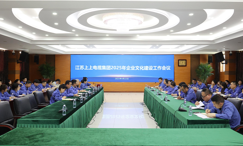 上上電纜召開2025年企業(yè)文化建設(shè)工作會(huì)議