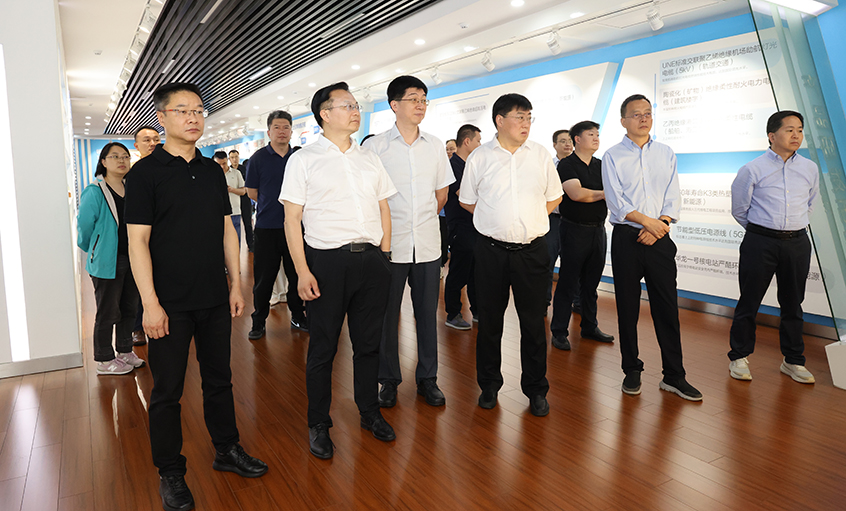 長三角信息化專題組一行來上上電纜調(diào)研