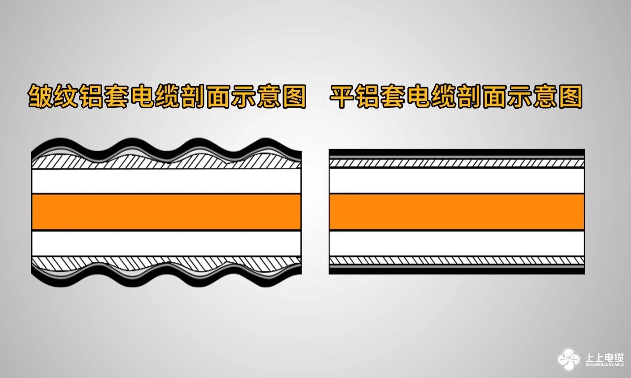 1774851969903551PD0T.jpg 1774851969903551PD0T.jpg